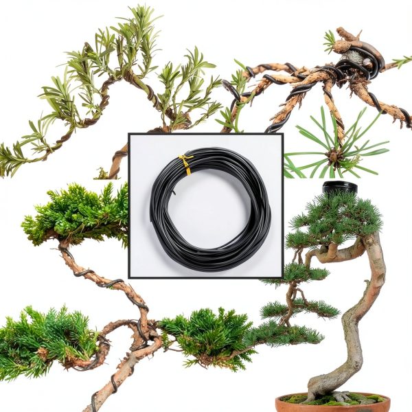 Semetall Anodized Aluminum Wire 2mm,Training Wire for Plants Support,Black-2